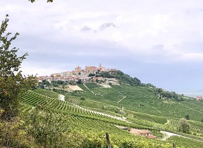 Agricola Domus * Barolo